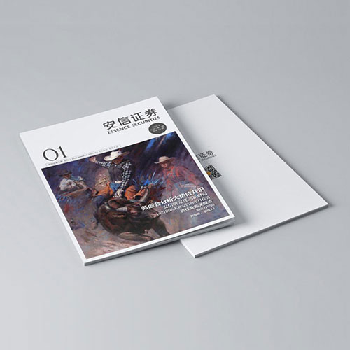 安信證券雜志